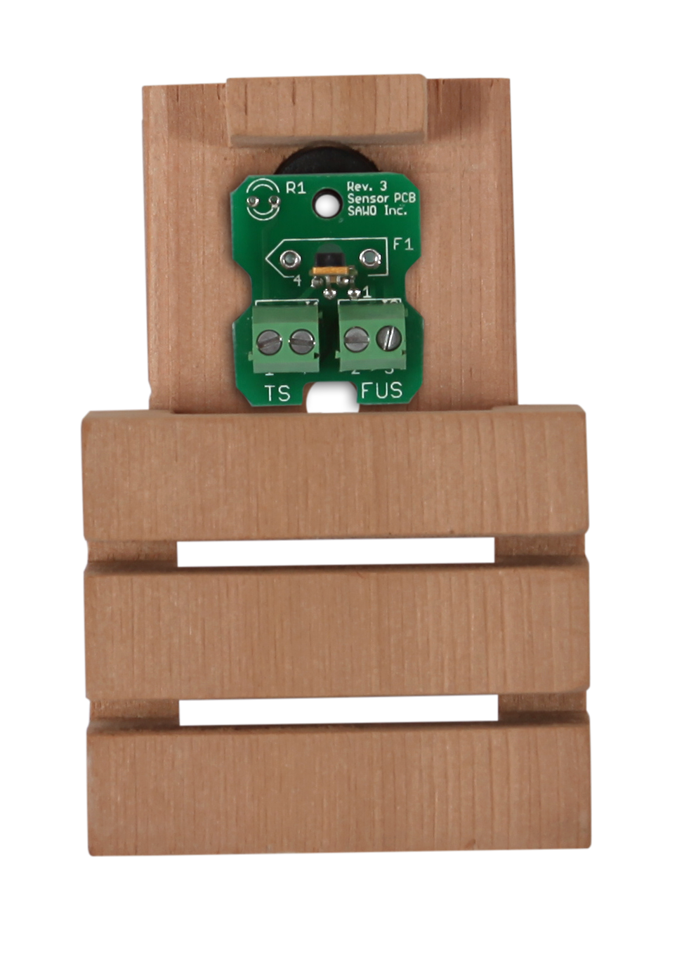 Temperature sensor with fuse